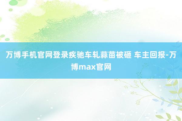 万博手机官网登录疾驰车轧蒜苗被砸 车主回报-万博max官网