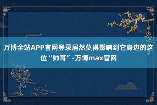 万博全站APP官网登录居然莫得影响到它身边的这位“帅哥”-万博max官网