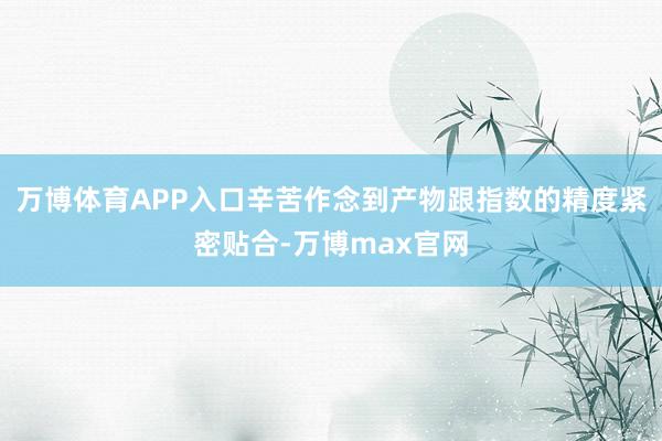 万博体育APP入口辛苦作念到产物跟指数的精度紧密贴合-万博max官网