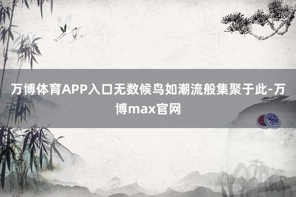 万博体育APP入口无数候鸟如潮流般集聚于此-万博max官网