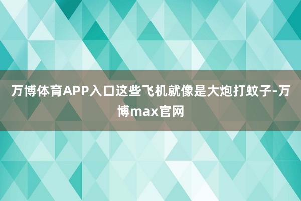 万博体育APP入口这些飞机就像是大炮打蚊子-万博max官网