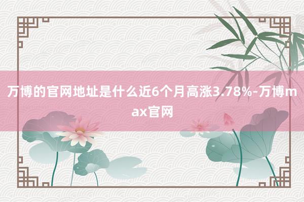 万博的官网地址是什么近6个月高涨3.78%-万博max官网