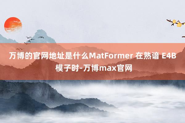 万博的官网地址是什么MatFormer 在熟谙 E4B 模子时-万博max官网